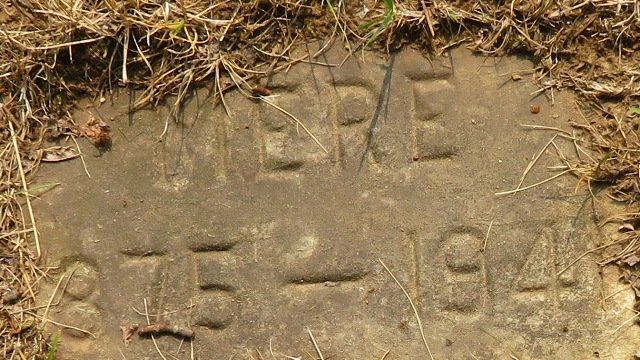 plaques\lot333_3.jpg